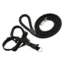 Kit Coleira Peitoral + Guia de Corda Reforçado – Passeios Confortáveis e Seguros!