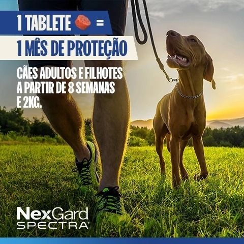 Antipulgas, Carrapatos e vermifugo para Cães de 15,1 a 30Kg.