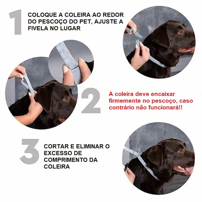 Coleira Anti Pulga Carrapato Leishmaniose Sarna Piolho 62cm